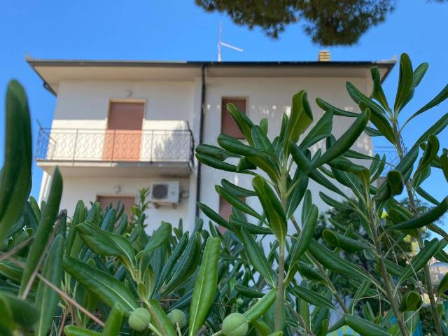 Appartamento in vendita a Rosignano Marittimo LI