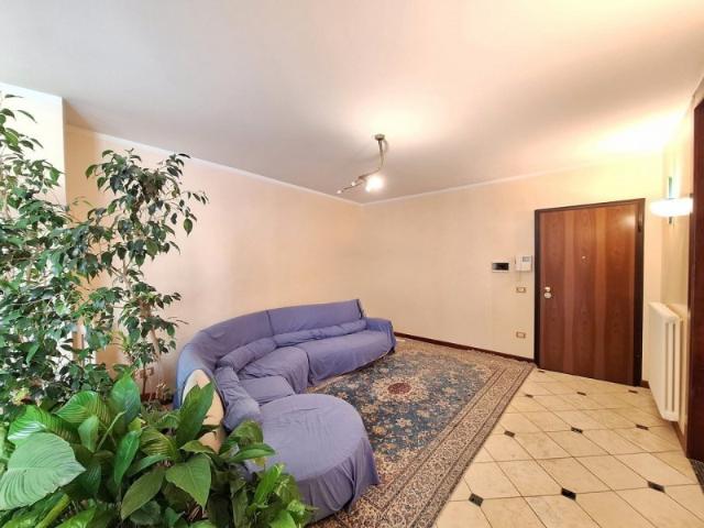 Appartamento in vendita a Rovigo via Nino Bedendo, Centro città