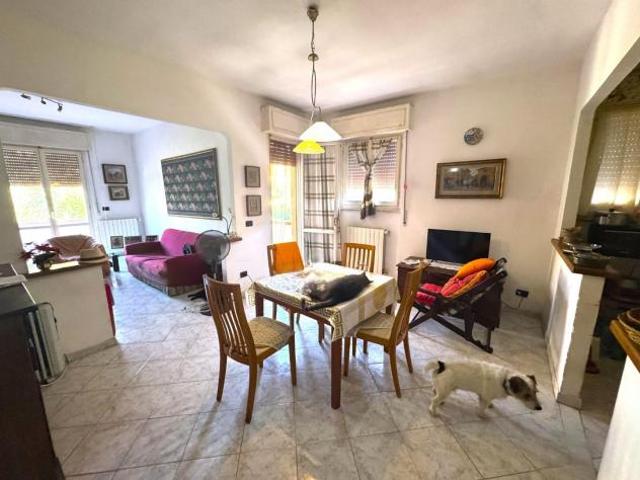 Appartamento in vendita a Stagno Collesalvetti 100 mq Rif: 1427509
