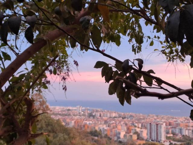 Appartamento in vendita a Salerno viale dei pioppi 18