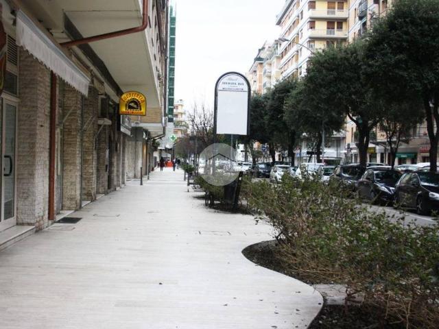 Appartamento in vendita a San Benedetto del Tronto AP