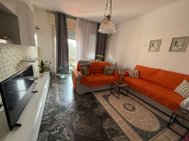 Appartamento in vendita a San Bonifacio VR