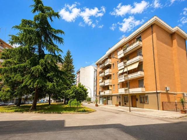 Appartamento in vendita a San Severo FG