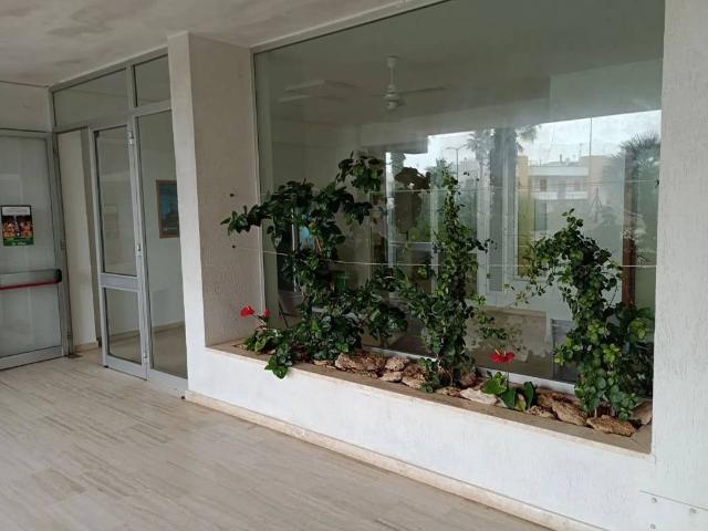 Appartamento in vendita a Sannicola LE