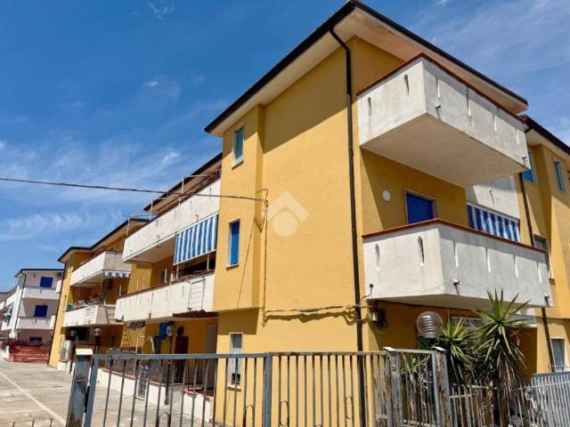 Appartamento in vendita a Santa Maria del Cedro CS
