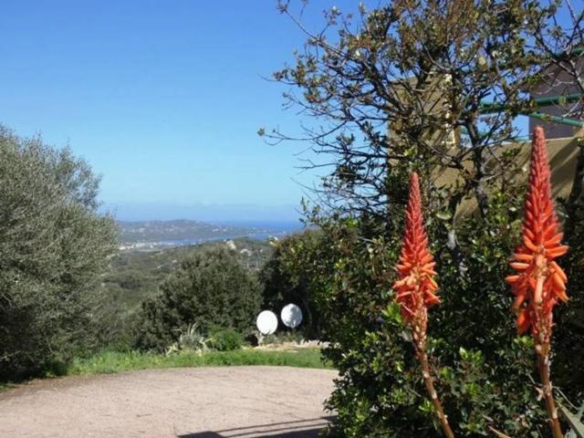 Appartamento in vendita a Santa Teresa Gallura SS