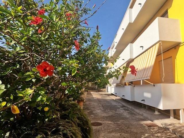 Appartamento in vendita a Santa Teresa Gallura SS