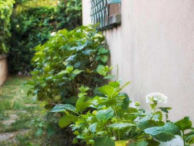 Appartamento in vendita a Sant'Angelo di Piove di Sacco PD