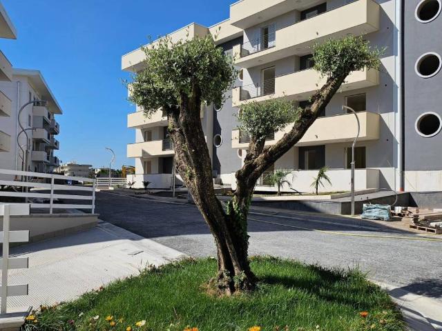 Appartamento in vendita a Sant'Arpino CE