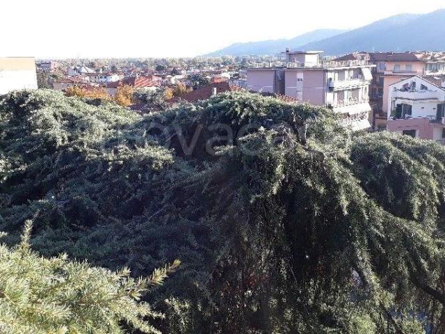 Appartamento in vendita a Sarzana