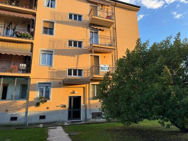 Appartamento in vendita a Sarzana SP