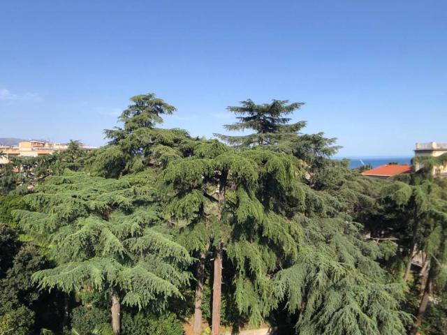 Appartamento in vendita a Savona SV
