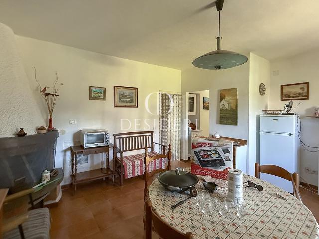 APPARTAMENTO in VENDITA a SCANSANO PANCOLE di 3 vani