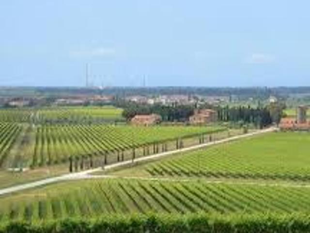 APPARTAMENTO in VENDITA a SCARLINO SCARLINO SCALO di 6 vani