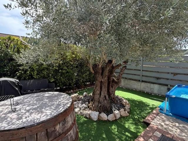 Appartamento in vendita a Scorzè VE