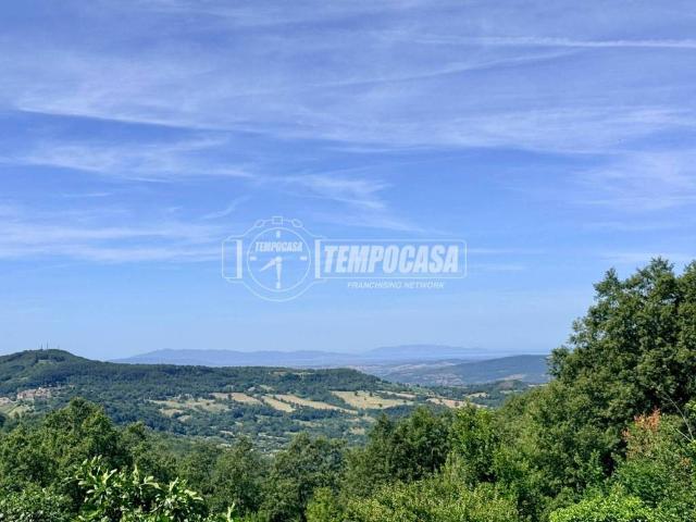 Appartamento in vendita a Semproniano GR
