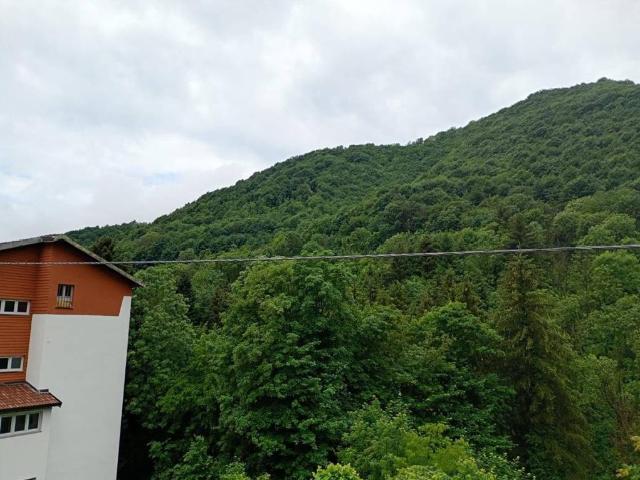 Appartamento in vendita a Serina BG