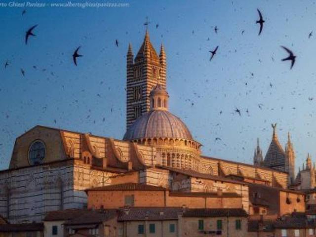 Appartamento in vendita a Siena