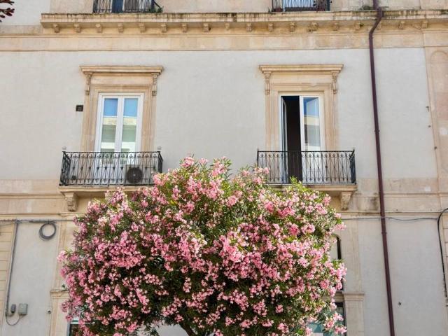 Appartamento in vendita a Siracusa SR