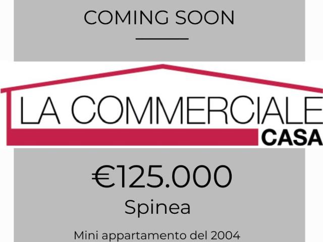 Appartamento in vendita a Spinea VE