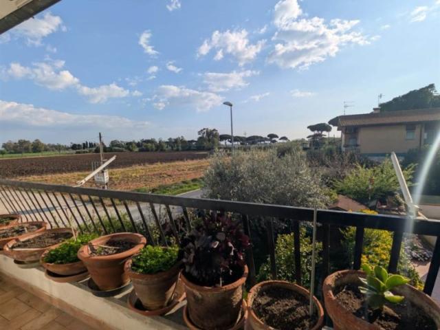Appartamento in vendita a Tarquinia, Lido Di Tarquinia