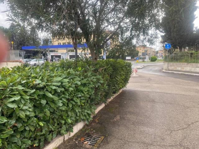 Box in vendita a Terni