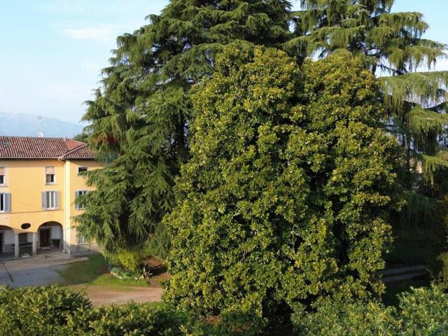 Appartamento in vendita a Terno d'Isola BG