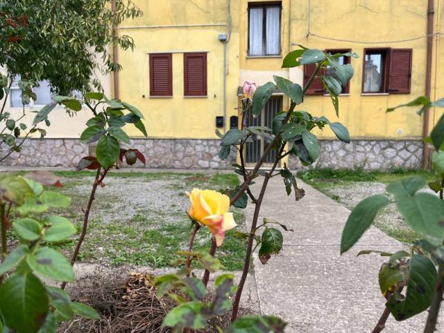 Appartamento in vendita a Tonara NU
