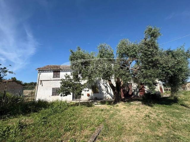 Appartamento in vendita a Trecastelli AN