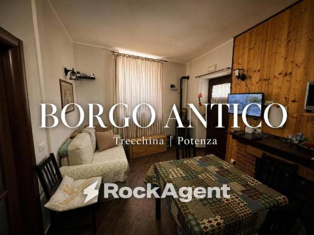 Appartamento in vendita a Trecchina PZ