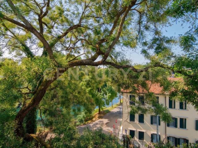 Appartamento in vendita a Treviso