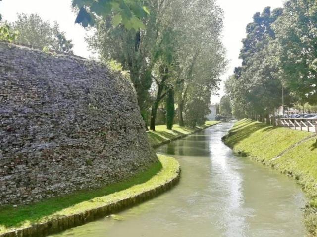 Appartamento in vendita a Treviso TV