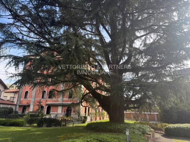 Appartamento in vendita a Treviso TV