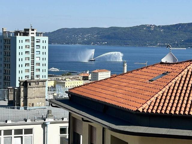 Appartamento in vendita a Trieste
