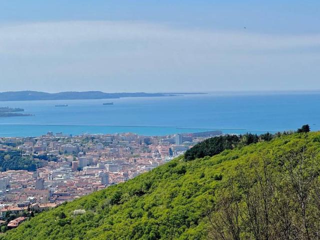 Appartamento in vendita a Trieste TS