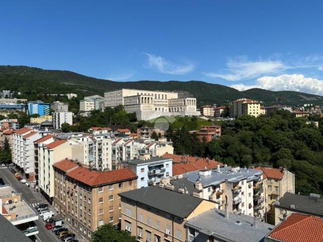 Appartamento in vendita a Trieste TS