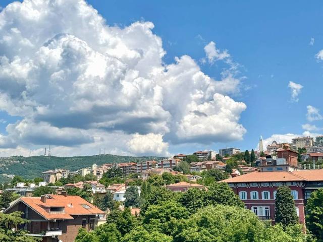 Appartamento in vendita a Trieste TS