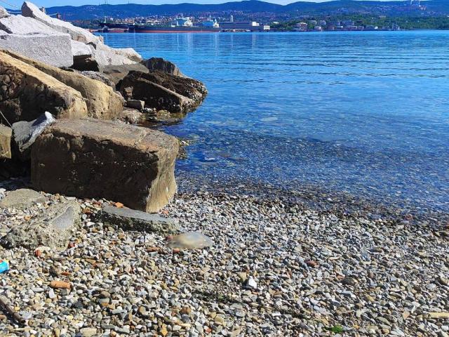 Appartamento in vendita a Trieste TS