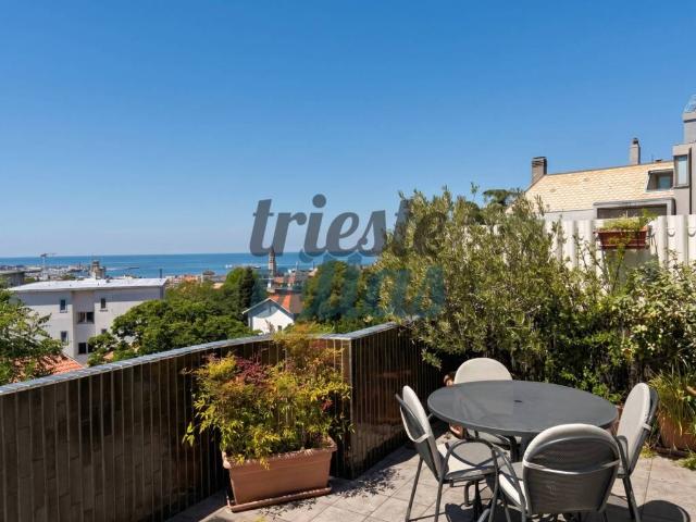Appartamento in vendita a Trieste TS