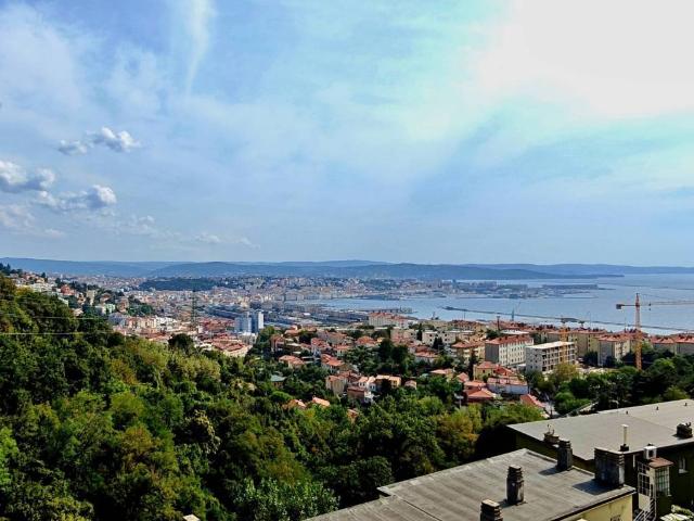 Appartamento in vendita a Trieste TS