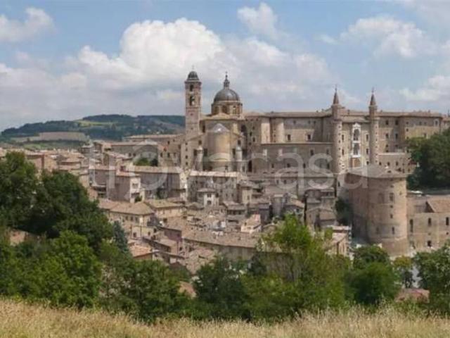 Appartamento in vendita a Urbino piazza Centro Storico