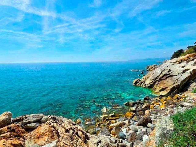 Appartamento in vendita a Varazze SV