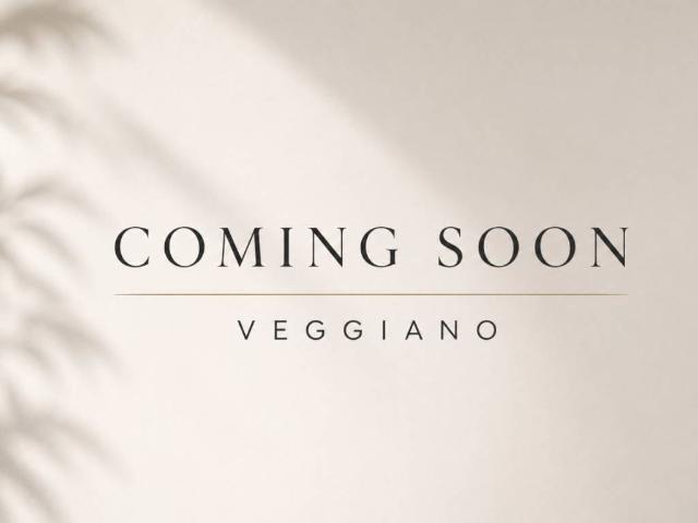 Appartamento in vendita a Veggiano PD