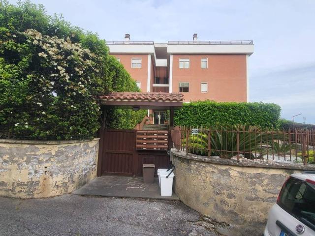 Appartamento in vendita a Velletri RM