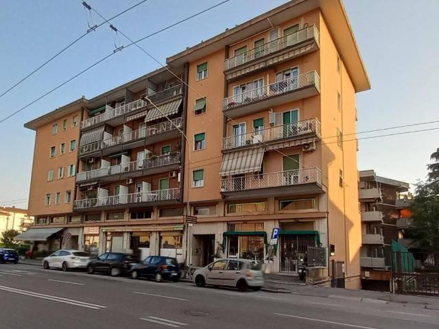 Appartamento in vendita a Verona VR
