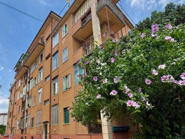 Appartamento in vendita a Verona VR
