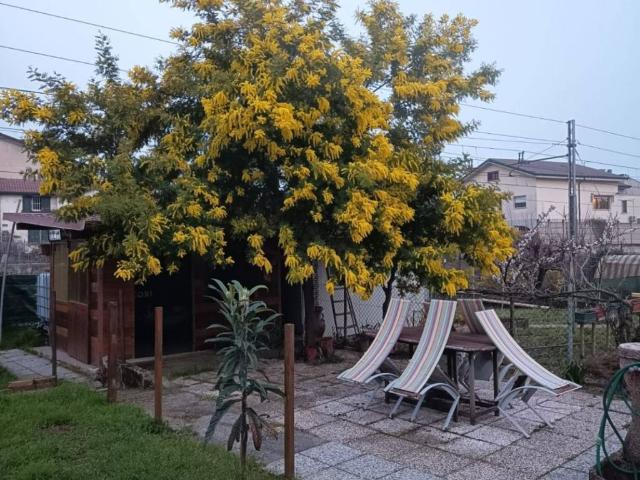 Appartamento in vendita a Verona VR