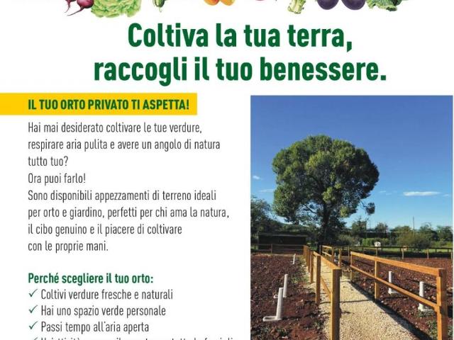 Appartamento in vendita a Verona VR
