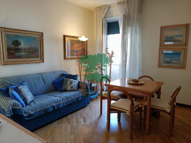 APPARTAMENTO in VENDITA a VIAREGGIO CITTA' GIARDINO di 2 vani