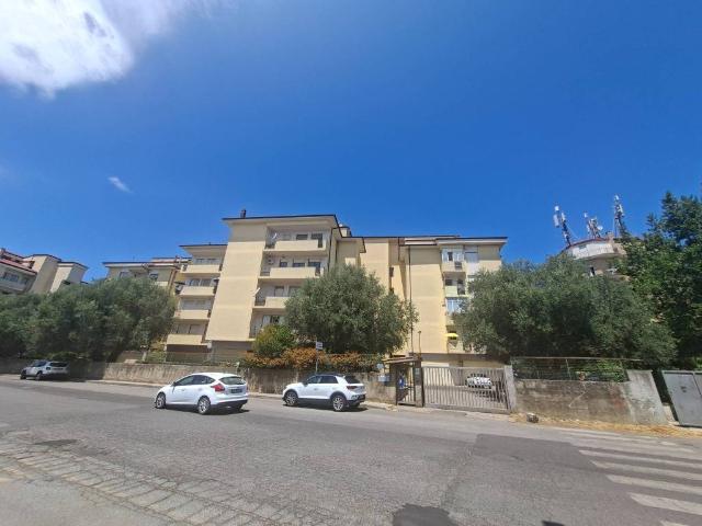 Appartamento in vendita a Vibo Valentia VV